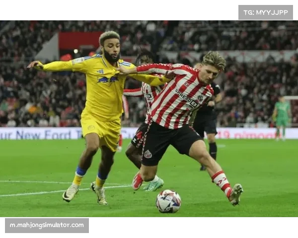 英超第29轮利兹联对阵桑德兰 升班马薪资对比与保级策略